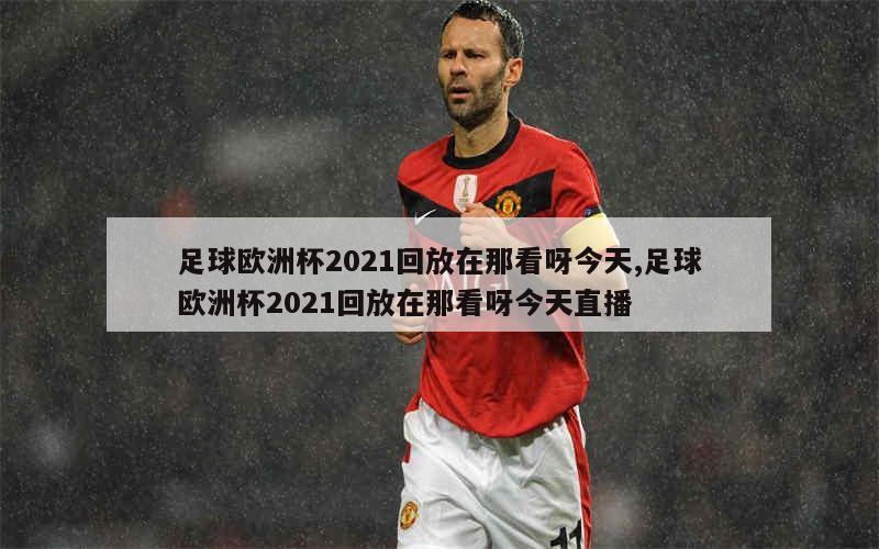 足球欧洲杯2021回放在那看呀今天,足球欧洲杯2021回放在那看呀今天直播